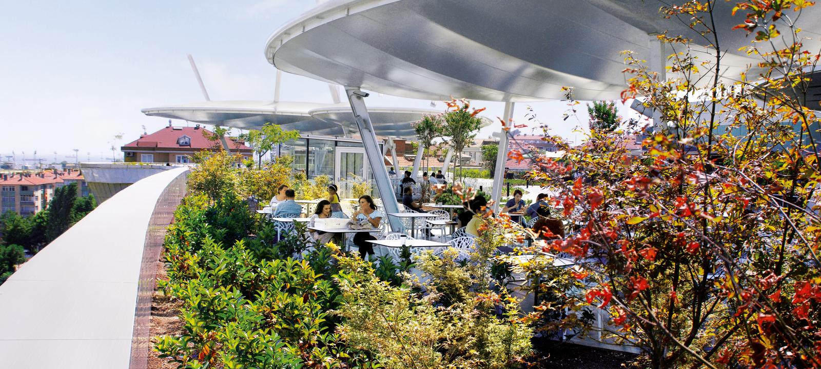 Cafe on a vegetated rooftop